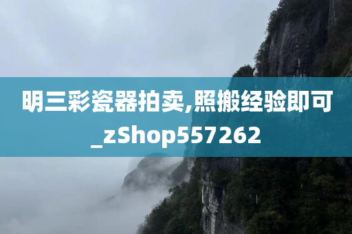 明三彩瓷器拍卖,照搬经验即可_zShop557262