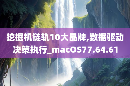 挖掘机链轨10大品牌,数据驱动决策执行_macOS77.64.61