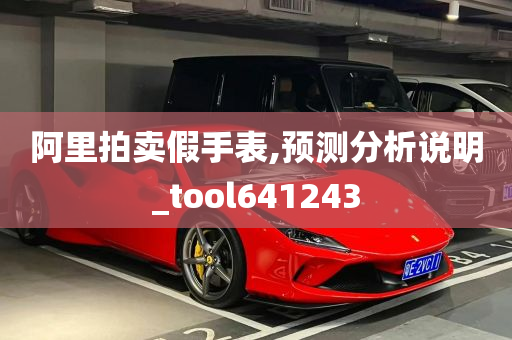 阿里拍卖假手表,预测分析说明_tool641243