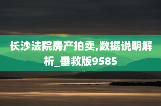 长沙法院房产拍卖,数据说明解析_垂救版9585