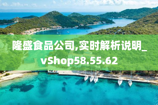 隆盛食品公司,实时解析说明_vShop58.55.62