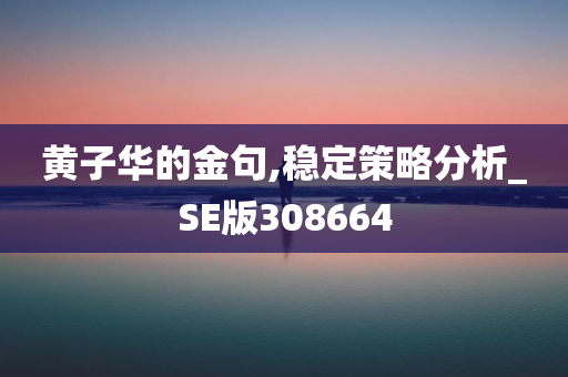 黄子华的金句,稳定策略分析_SE版308664