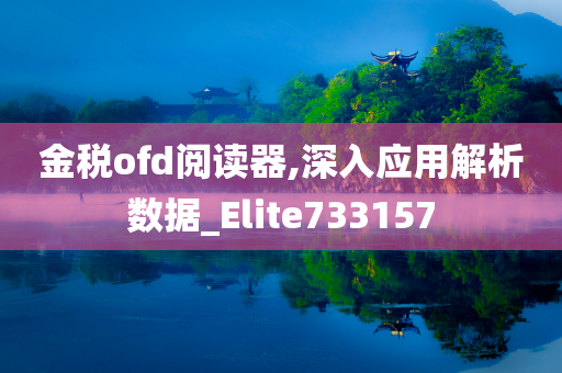 金税ofd阅读器,深入应用解析数据_Elite733157