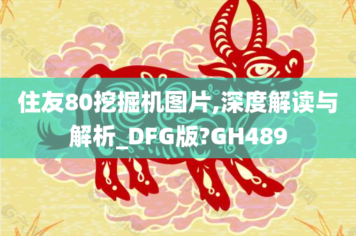 住友80挖掘机图片,深度解读与解析_DFG版?GH489