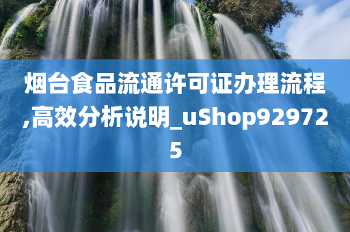 烟台食品流通许可证办理流程,高效分析说明_uShop929725