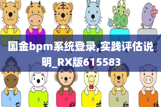 国金bpm系统登录,实践评估说明_RX版615583