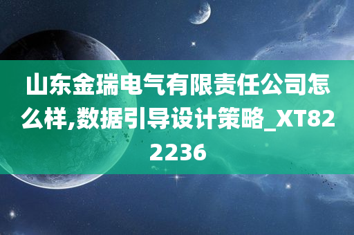 山东金瑞电气有限责任公司怎么样,数据引导设计策略_XT822236