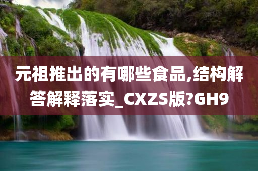 元祖推出的有哪些食品,结构解答解释落实_CXZS版?GH9