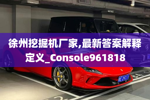 徐州挖掘机厂家,最新答案解释定义_Console961818