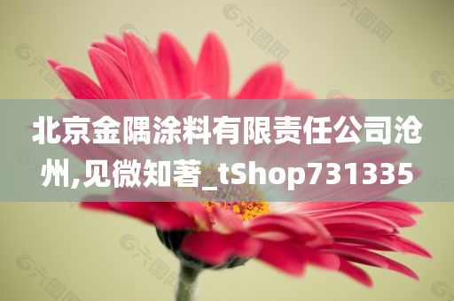 北京金隅涂料有限责任公司沧州,见微知著_tShop731335