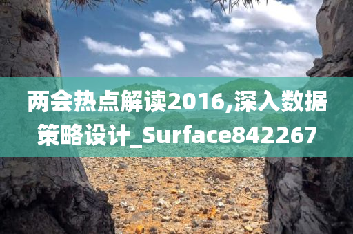 两会热点解读2016,深入数据策略设计_Surface842267