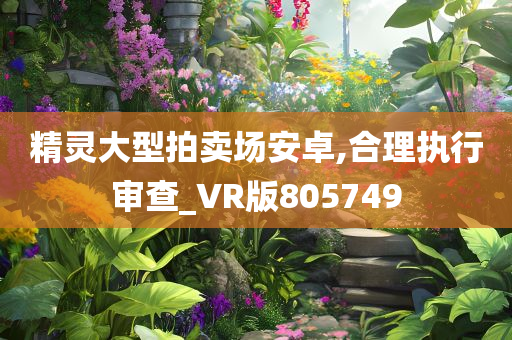 精灵大型拍卖场安卓,合理执行审查_VR版805749