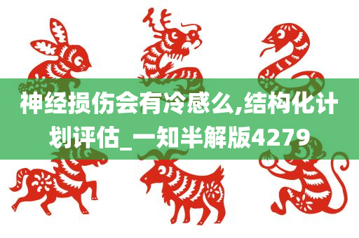 神经损伤会有冷感么,结构化计划评估_一知半解版4279