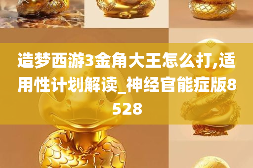 造梦西游3金角大王怎么打,适用性计划解读_神经官能症版8528