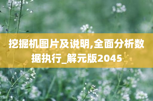 挖掘机图片及说明,全面分析数据执行_解元版2045