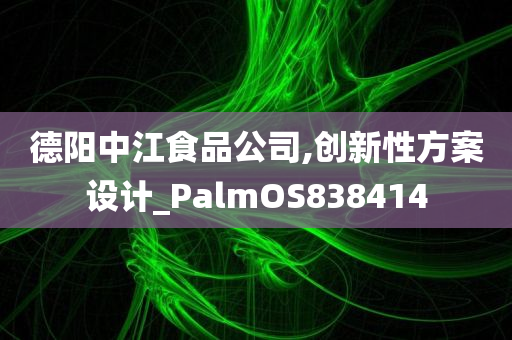 德阳中江食品公司,创新性方案设计_PalmOS838414