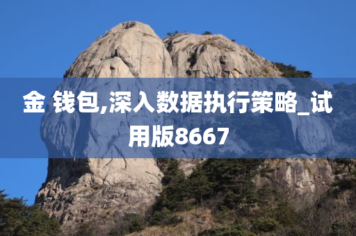 金 钱包,深入数据执行策略_试用版8667