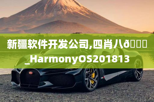 新疆软件开发公司,四肖八🐎_HarmonyOS201813