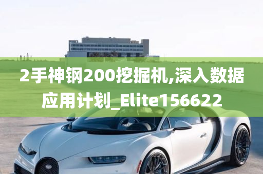 2手神钢200挖掘机,深入数据应用计划_Elite156622