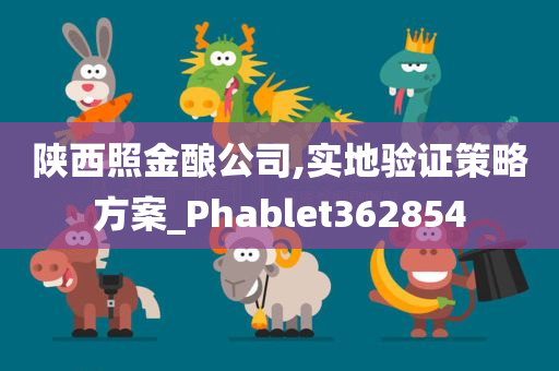 陕西照金酿公司,实地验证策略方案_Phablet362854