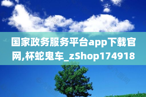 国家政务服务平台app下载官网,杯蛇鬼车_zShop174918