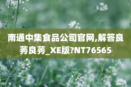 南通中集食品公司官网,解答良莠良莠_XE版?NT76565