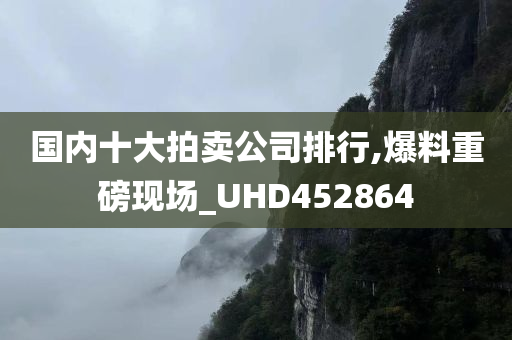 国内十大拍卖公司排行,爆料重磅现场_UHD452864