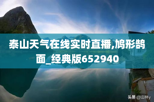 泰山天气在线实时直播,鸠形鹄面_经典版652940