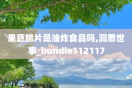 果蔬脆片是油炸食品吗,洞悉世事_bundle112117