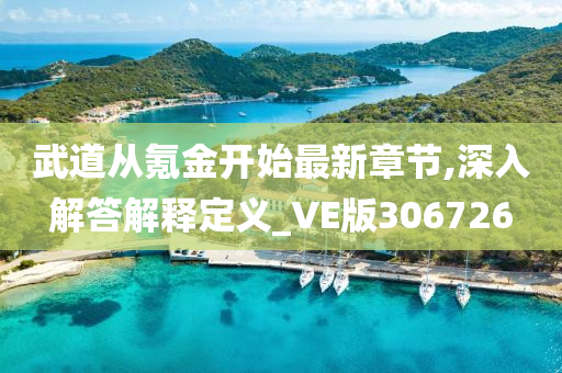 武道从氪金开始最新章节,深入解答解释定义_VE版306726