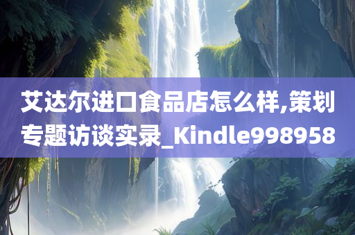 艾达尔进口食品店怎么样,策划专题访谈实录_Kindle998958