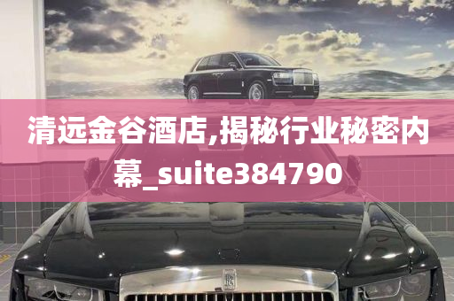 清远金谷酒店,揭秘行业秘密内幕_suite384790