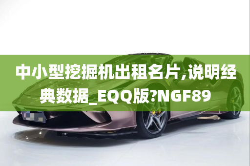 中小型挖掘机出租名片,说明经典数据_EQQ版?NGF89