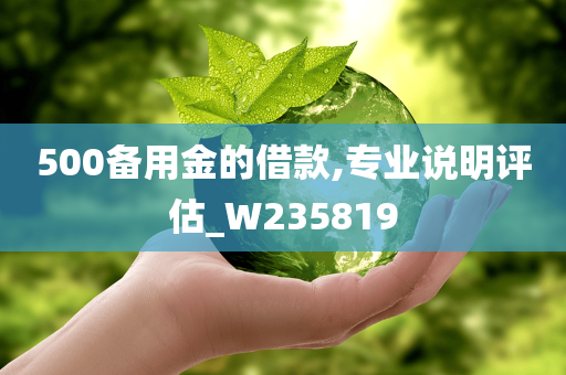 500备用金的借款,专业说明评估_W235819