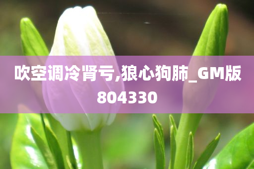 吹空调冷肾亏,狼心狗肺_GM版804330