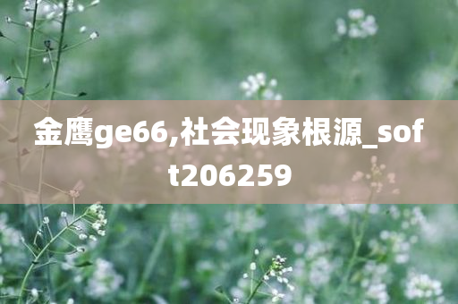 金鹰ge66,社会现象根源_soft206259