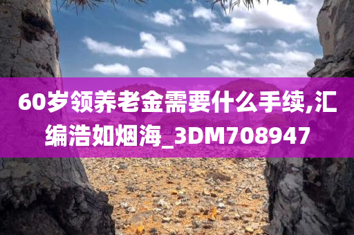 60岁领养老金需要什么手续,汇编浩如烟海_3DM708947