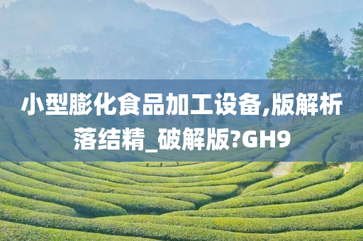 小型膨化食品加工设备,版解析落结精_破解版?GH9