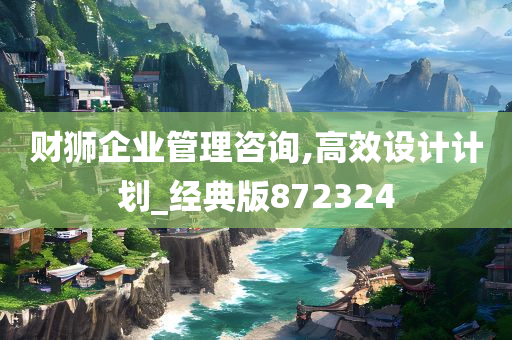 财狮企业管理咨询,高效设计计划_经典版872324