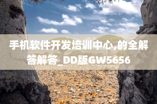 手机软件开发培训中心,的全解答解答_DD版GW5656