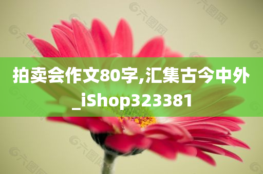 拍卖会作文80字,汇集古今中外_iShop323381