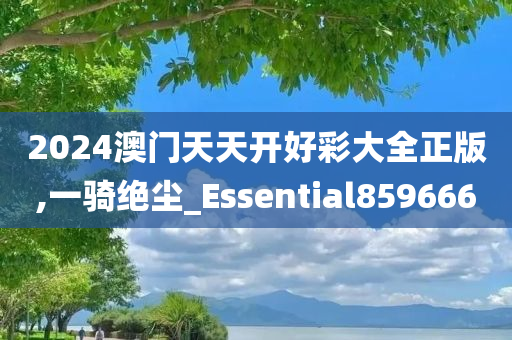 2024澳门天天开好彩大全正版,一骑绝尘_Essential859666