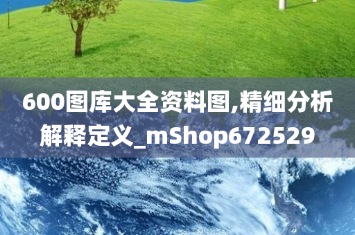 600图库大全资料图,精细分析解释定义_mShop672529