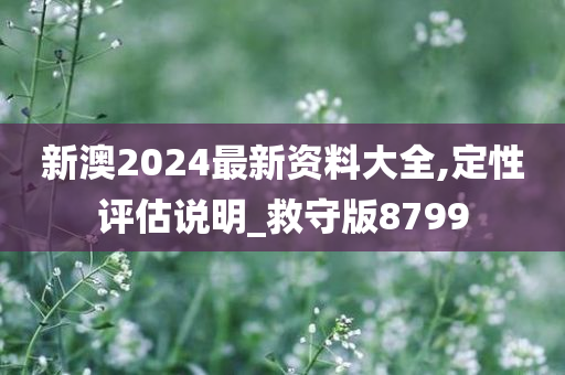 新澳2024最新资料大全,定性评估说明_救守版8799