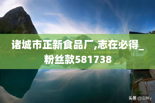 诸城市正新食品厂,志在必得_粉丝款581738