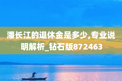 潘长江的退休金是多少,专业说明解析_钻石版872463