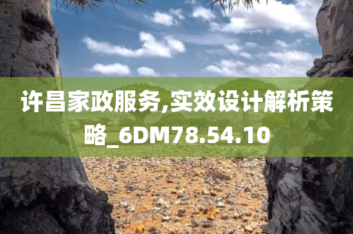 许昌家政服务,实效设计解析策略_6DM78.54.10