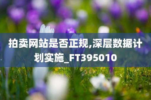 拍卖网站是否正规,深层数据计划实施_FT395010