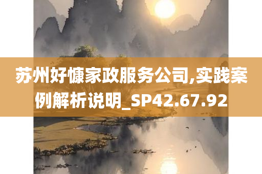 苏州好慷家政服务公司,实践案例解析说明_SP42.67.92