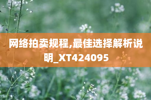 网络拍卖规程,最佳选择解析说明_XT424095